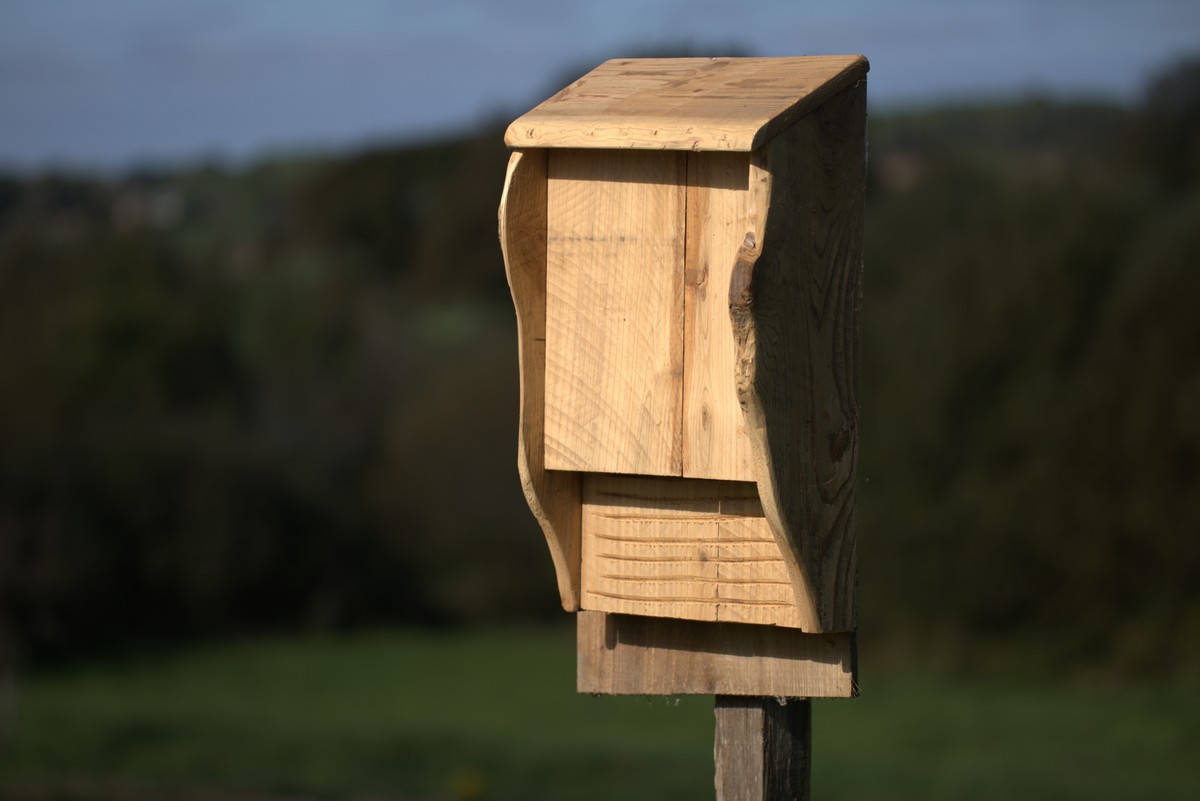 Dortoir Chauve souris – Image 4