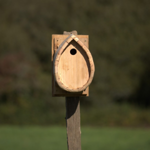 Nichoir mésange charbonnière face