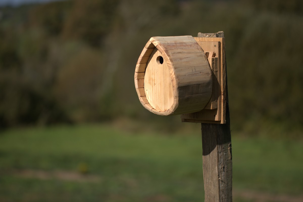 Nichoir Mésange charbonnière – Image 3