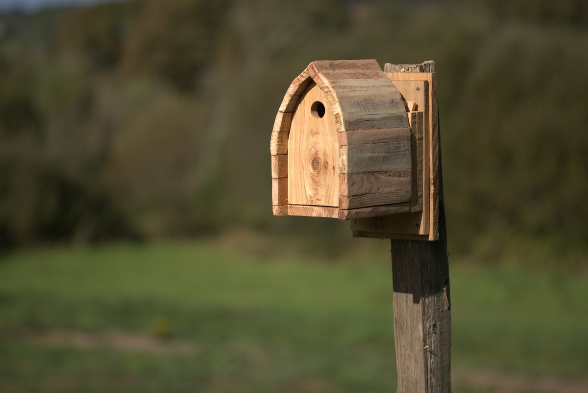 Nichoir Moineau friquet – Image 3